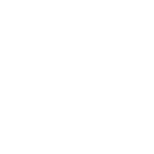 The Wellbeing Expo