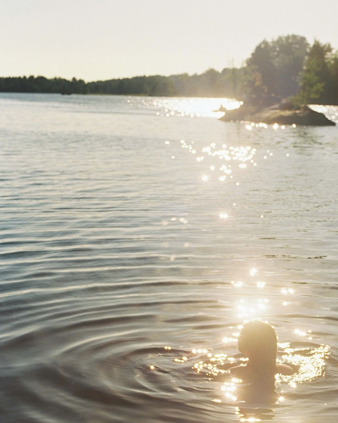 Nature & Environment
